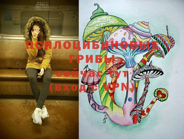 марки lsd Вяземский