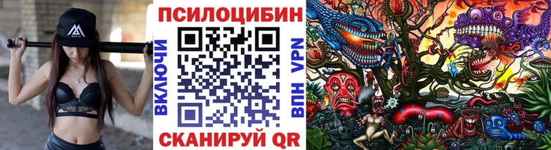 Купить закладки  Сольвычегодск  Псилоцибиновые грибы мухоморы 